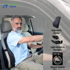 Lumber Support Pillow